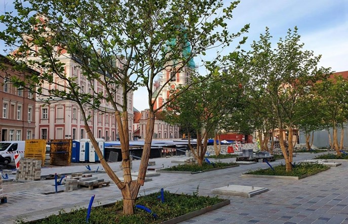 Poznań. Przebudowa pl. Kolegiackiego potrwa dłużej