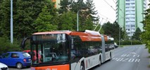 Pierwszy trolejbus Solarisa-Škody w Bergen