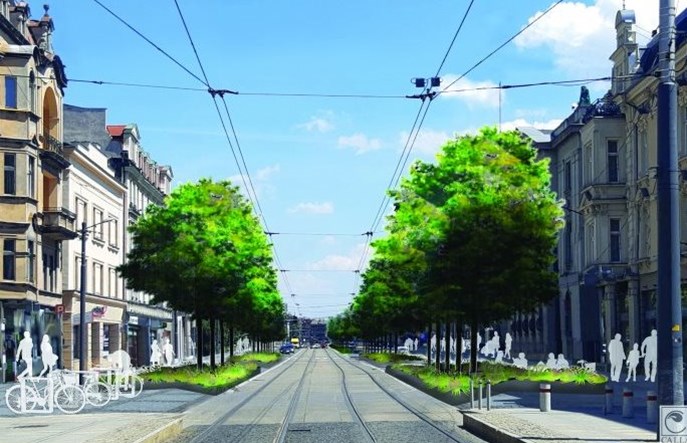 Katowice: Zazielenienie ulicy Warszawskiej – drzewa zamiast samochodów