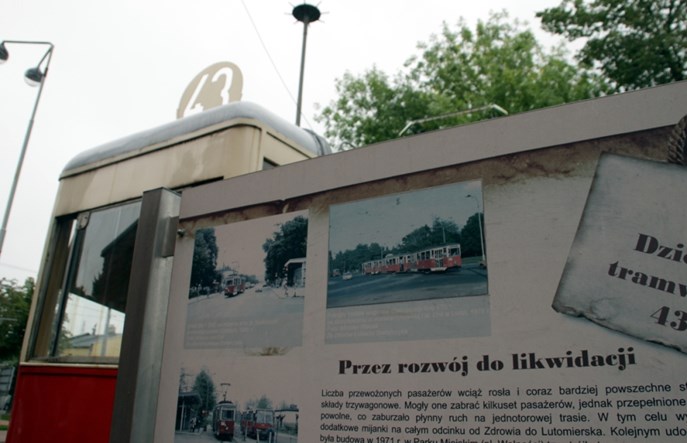 Konstantynów Ł. likwiduje bezpłatną linię busową. „Brak zainteresowania” 