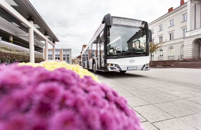 Ostrowiec Świętokrzyski zdecydował się na hybrydy