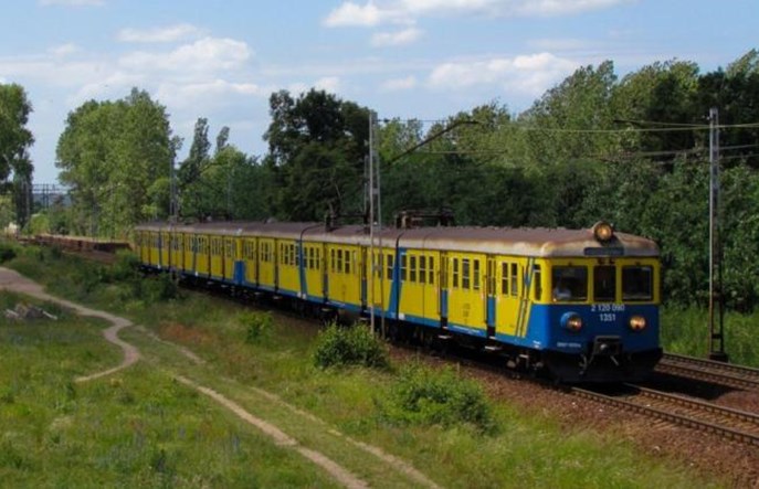 SKM Trójmiasto wytnie 600 drzew w Trójmieście. To mniej, niż planowano