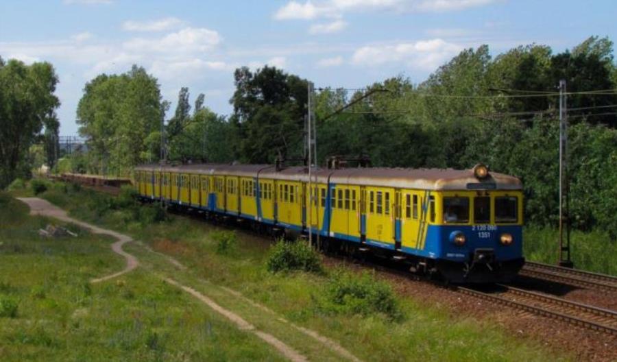 SKM Trójmiasto wytnie 600 drzew w Trójmieście. To mniej, niż planowano SKM Trójmiasto wytnie 600 drzew w Trójmieście. To mniej, niż planowano