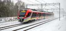 Ze śnieżycą zmaga się cała Europa. Jak sytuacja w Polsce? [aktualizacja]