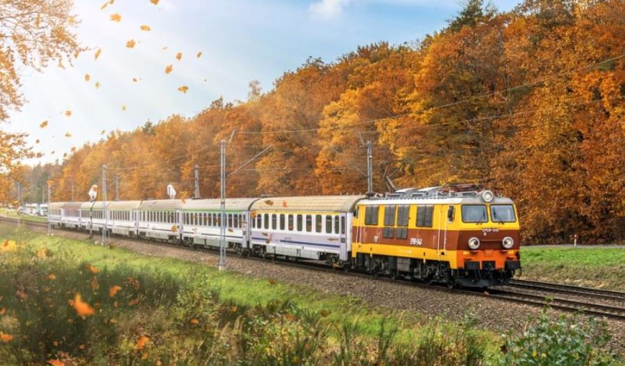 Newag i Olkol z ofertami w dużym przetargu na naprawy lokomotyw PKP Intercity