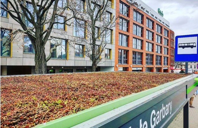 Poznań: Wiaty przystankowe przyjazne ptakom