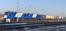 PKP LHS chce kupić 200 wagonów do przewozu kontenerów