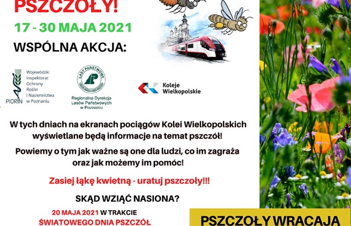 Koleje Wielkopolskie dla pszczół
