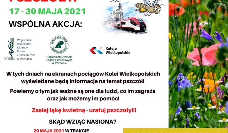Koleje Wielkopolskie dla pszczół Koleje Wielkopolskie dla pszczół