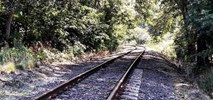Dolny Śląsk ma zgodę MI na przejęcie trzech kolejnych linii kolejowych [uzupełnienie]