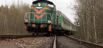 Łódzkie: Kolej ma pomóc w transformacji Bełchatowa 