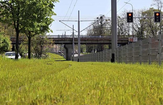 Wrocław: Umowa na remont kolejnego odcinka torów w al. Hallera