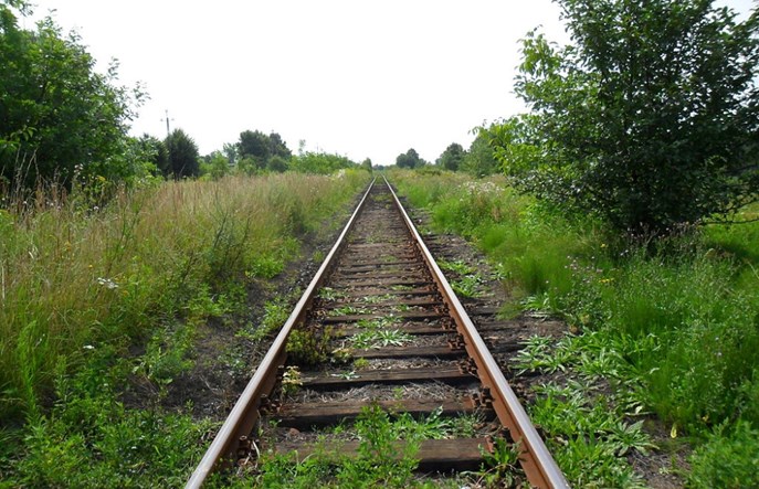 Linia 176 Racibórz – Olza będzie nieprzejezdna. „Rozbiórka toru jest tymczasowa” 