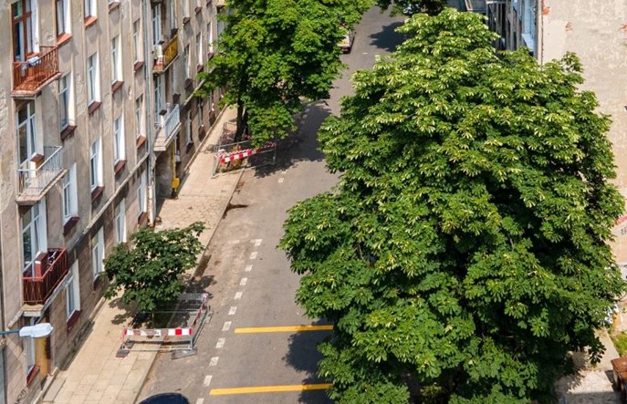 Łódź: Kolejna ulica-ogród na Starym Polesiu