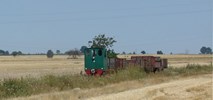 Kto skieruje w przyszłość rogowską kolej wąskotorową?