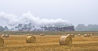 Sierpień najlepszym miesiącem kolei od wybuchu pandemii