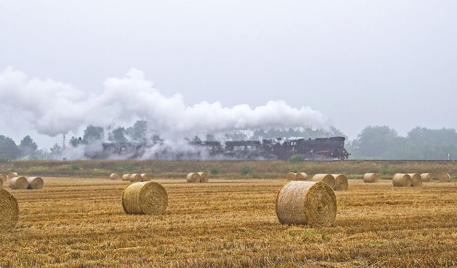 Sierpień najlepszym miesiącem kolei od wybuchu pandemii Sierpień najlepszym miesiącem kolei od wybuchu pandemii