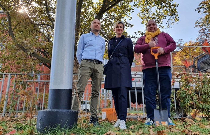 Wrocław: Słupy trakcyjne porosną bluszczem