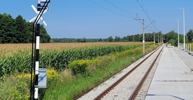 Pociągiem do Wojnowa i Jelcza od grudnia tego roku? Brakuje taboru