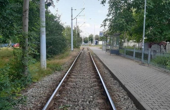 Wrocław: Rusza remont pętli w parku Południowym