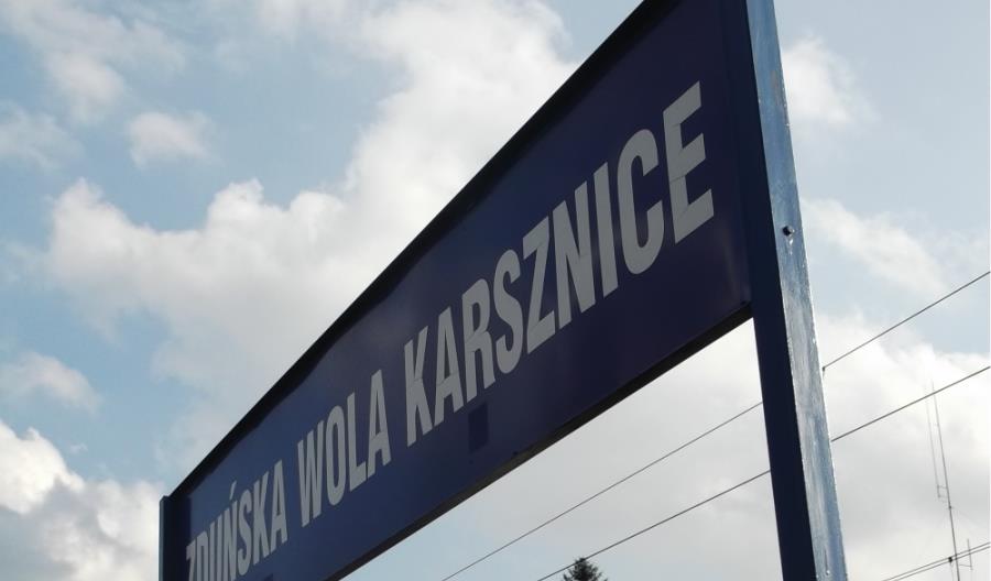 Zduńska Wola: Zielone światło dla terminalu PKP Cargo w Karsznicach Zduńska Wola: Zielone światło dla terminalu PKP Cargo w Karsznicach