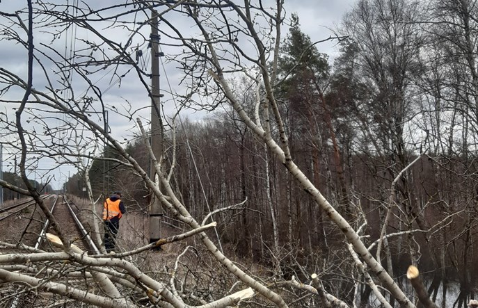 PKP Energetyka po orkanach. „Nie pamiętamy takiej skali zniszczeń”