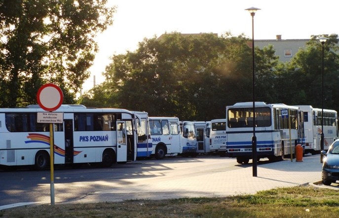Śrem szuka przewoźnika na cztery lata
