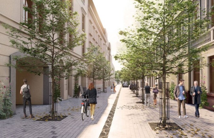 Kraków: Krupnicza już za chwilę się zazieleni