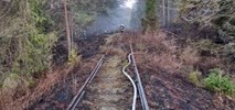 Złodzieje ukradli kilkadziesiąt metrów torów i podpalili las na Pomorzu