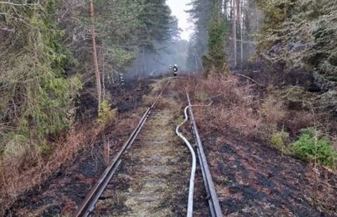 Złodzieje ukradli kilkadziesiąt metrów torów i podpalili las na Pomorzu
