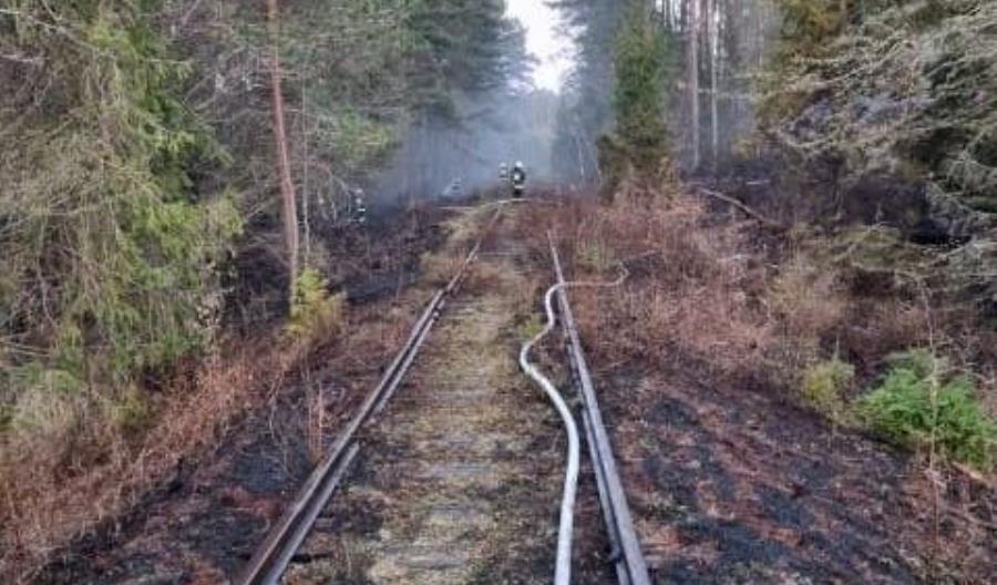 Złodzieje ukradli kilkadziesiąt metrów torów i podpalili las na Pomorzu Złodzieje ukradli kilkadziesiąt metrów torów i podpalili las na Pomorzu