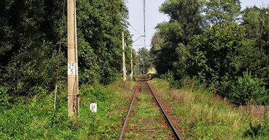 Cieszyn bez pociągów dalekobieżnych pomimo remontu trasy
