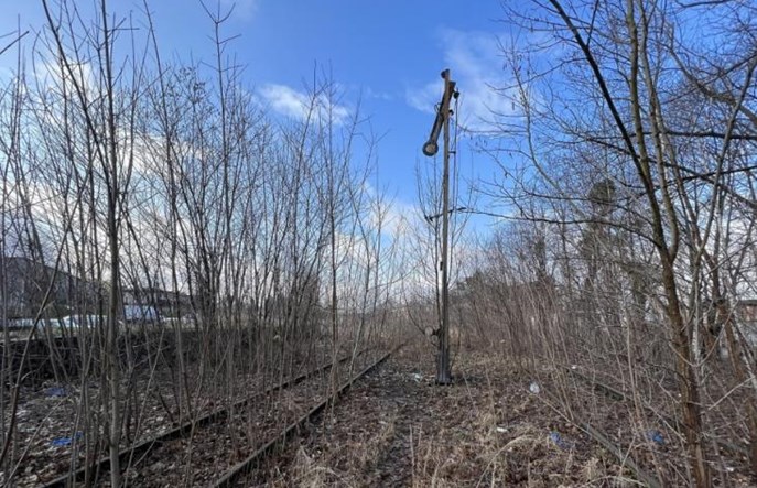 Jankowiak: Sprawdzimy, na ile projektów z K+ nas stać