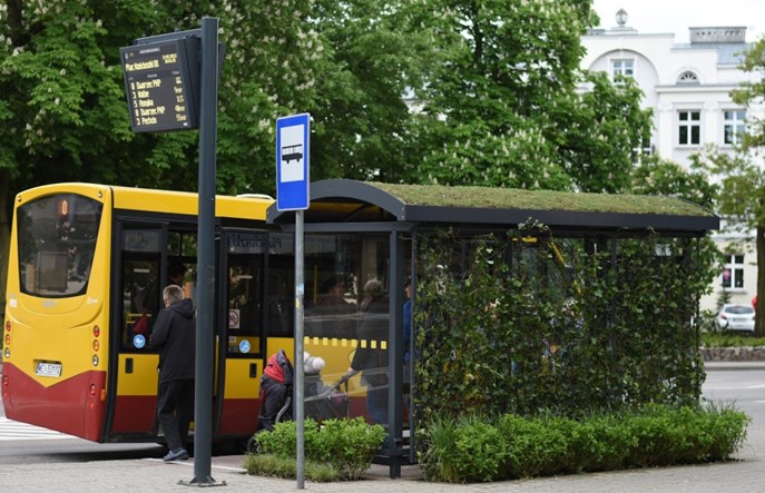 Ciechanów rozstrzyga przetarg na elektrobusy