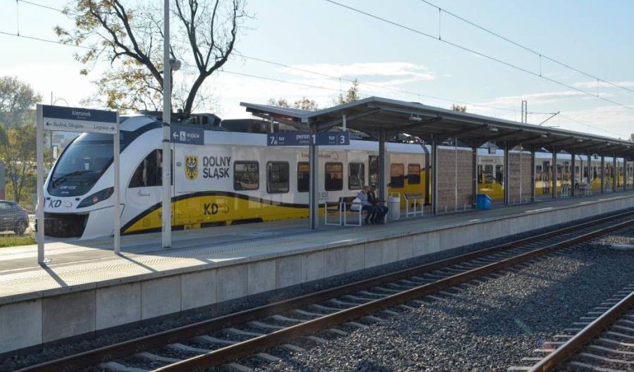 Przewrócone drzewo wstrzymało ruch pociągów do Lubina Przewrócone drzewo wstrzymało ruch pociągów do Lubina