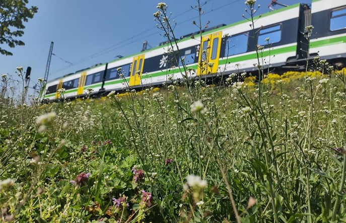 Koleje Mazowieckie: Na wakacje „Koleją do Natury”