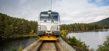 Awanse w polskim zespole lokomotyw Siemens Mobility