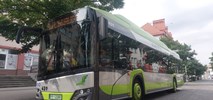 Piła zamawia kolejne Solarisy. W planach kolejnych 12 autobusów