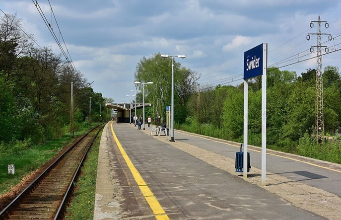 Krzak zamiast Ruskich Piasków. Przystanki kolejowe zmienią nazwy 