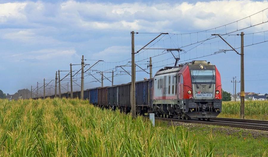 Rosną straty Newagu Rosną straty Newagu