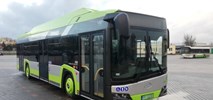 Piła blisko nowych autobusów elektrycznych. Kto je dostarczy?