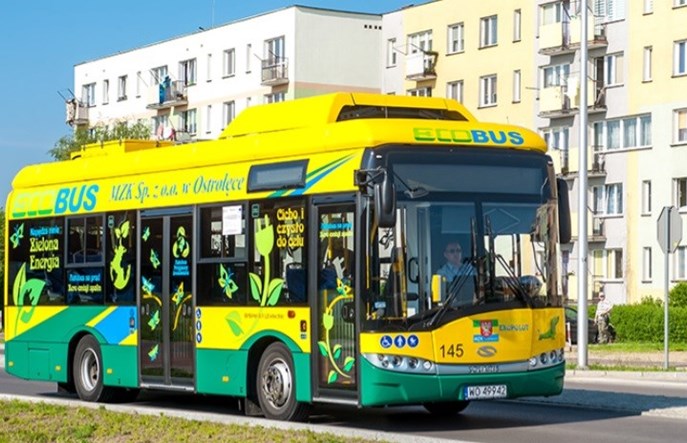 MZK Ostrołęka wydzierżawi sześć Solarisów