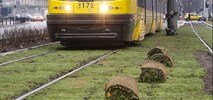 Tramwaje Warszawskie z ofertami na zazielenienie torowisk