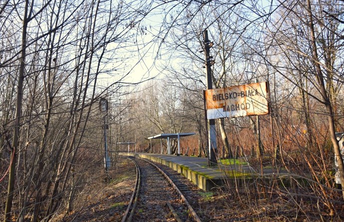 Linia kolejowa Bielsko-Biała – Cieszyn na liście podstawowej Kolej+