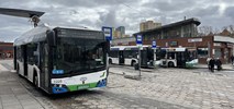 Szczecin ma jedną ofertę na 14 elektrobusów. Bez zaskoczenia