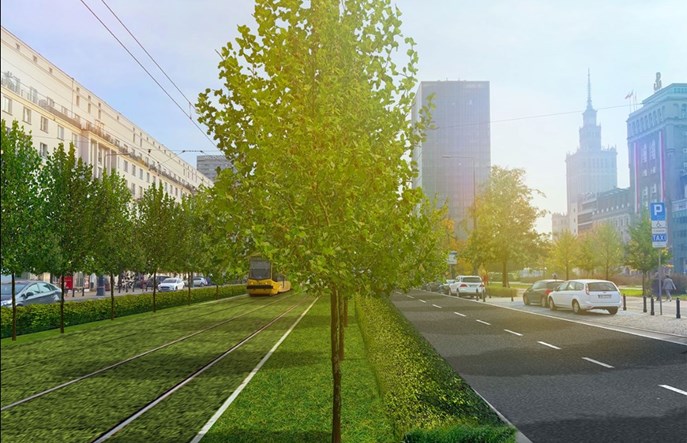 Tramwaje Warszawskie zazielenią centralny odcinek Marszałkowskiej