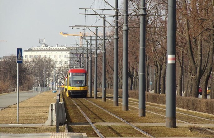 Tramwaje Warszawskie przetestują nowe rośliny i kwiaty w torowisku