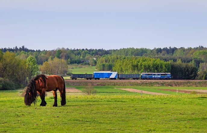 Wagony ze zbożem z Ukrainy mają wjechać zaplombowane