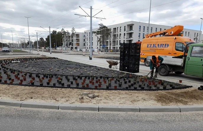 Toruń: Wzdłuż nowej linii tramwajowej do os. JAR będzie zielono