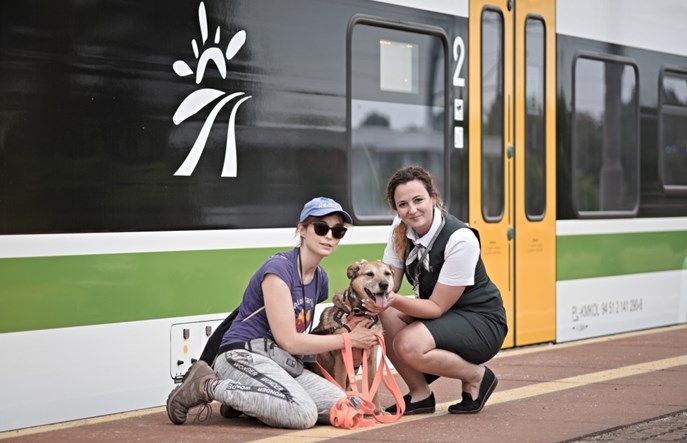 Koleje Mazowieckie na Warszawskim Dniu Zwierząt 